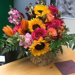 Meet your Posher, Shannon